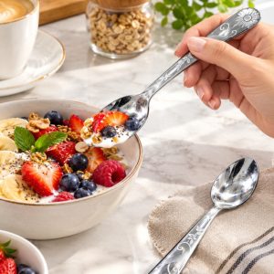6 Piece Premium Stainless Steel Dessert Spoon Set